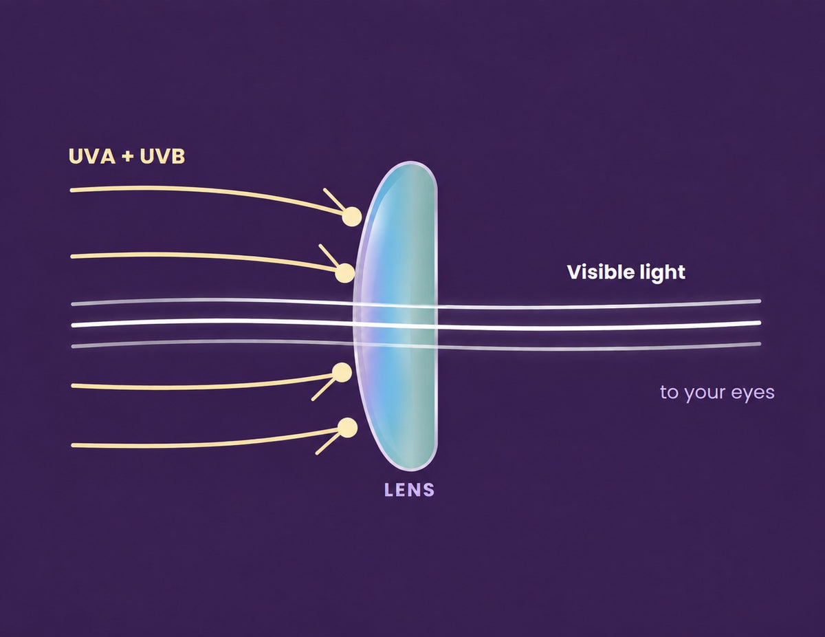 Diagram showing UV rays blocked by the lens while visible light passes through